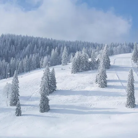 Drei Tannen - 07 - Apartmenthaus, Titisee, Feldberg *