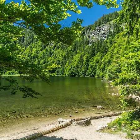 Drei Tannen - 07 - Apartmenthaus, Titisee, Feldberg Titisee-Neustadt