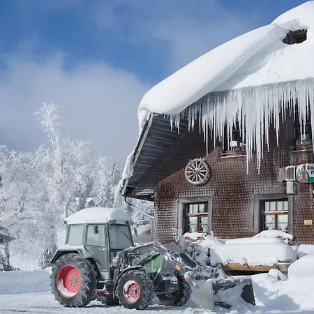 Drei Tannen - 07 - Apartmenthaus, Titisee, Feldberg Daire *