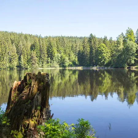 Drei Tannen - 07 - Apartmenthaus, Titisee, Feldberg Titisee-Neustadt