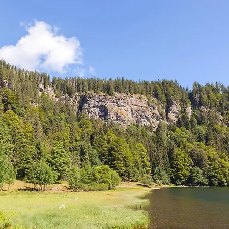 Daire Drei Tannen - 07 - Apartmenthaus, Titisee, Feldberg