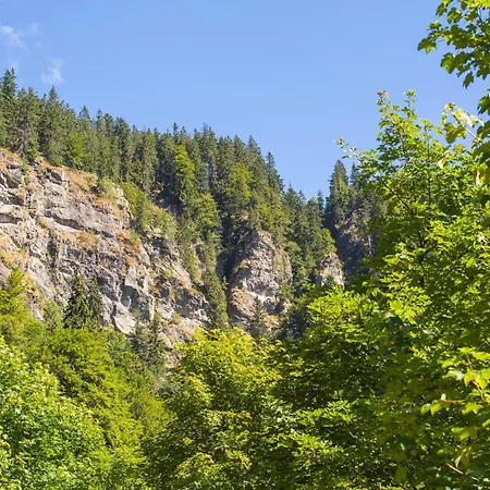 Drei Tannen - 07 - Apartmenthaus, Titisee, Feldberg Titisee-Neustadt