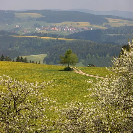 Drei Tannen - 07 - Apartmenthaus, Titisee, Feldberg *