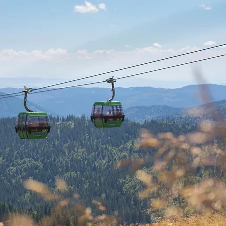 Drei Tannen - 07 - Apartmenthaus, Titisee, Feldberg Daire Titisee-Neustadt