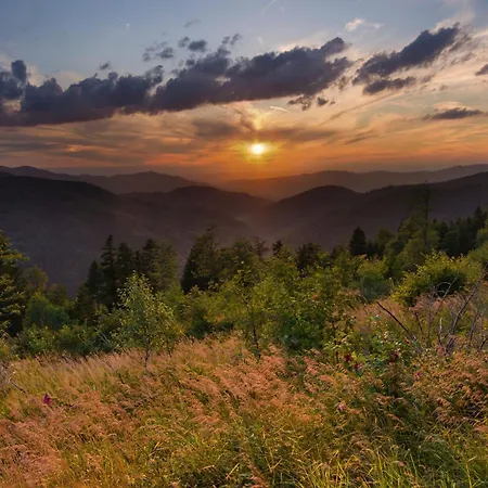 Drei Tannen - 07 - Apartmenthaus, Titisee, Feldberg