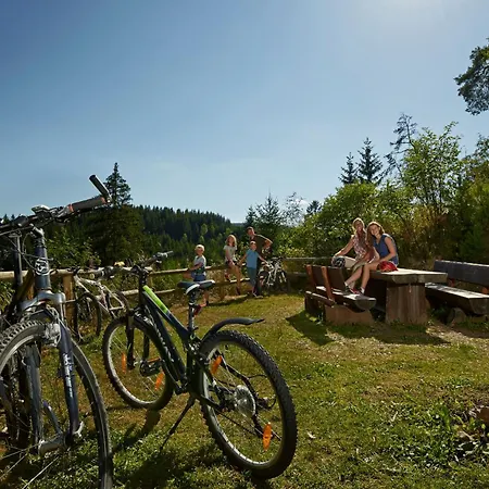 Daire Drei Tannen - 07 - Apartmenthaus, Titisee, Feldberg