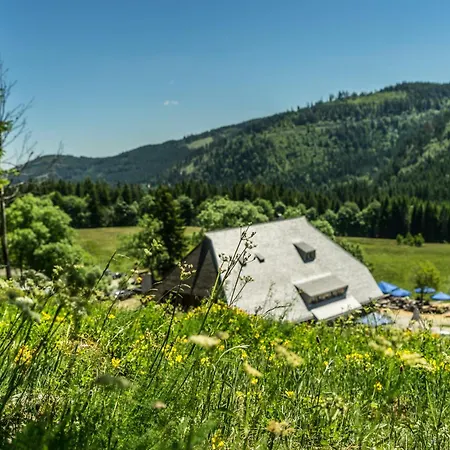 Daire Drei Tannen - 07 - Apartmenthaus, Titisee, Feldberg