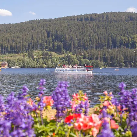 Drei Tannen - 07 - Apartmenthaus, Titisee, Feldberg * Titisee-Neustadt