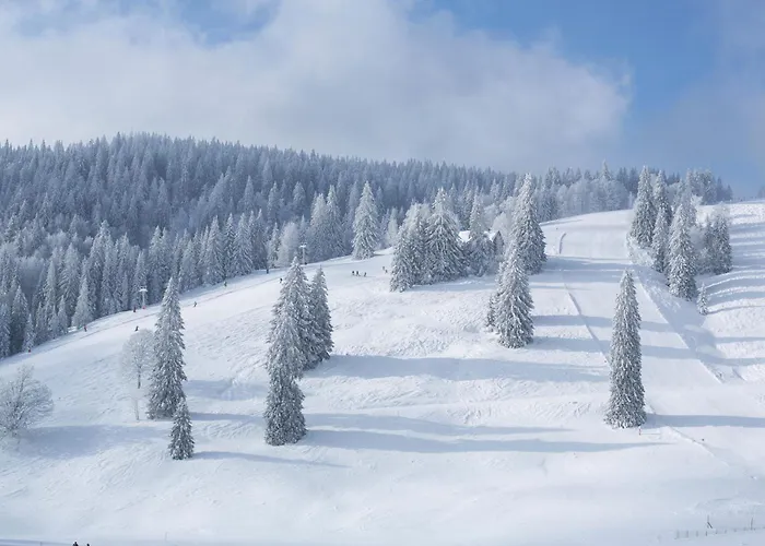 Drei Tannen - 07 - Apartmenthaus, Titisee, Feldberg *