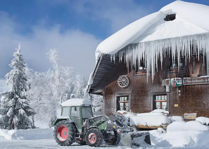 Drei Tannen - 07 - Apartmenthaus, Titisee, Feldberg Apartamento *