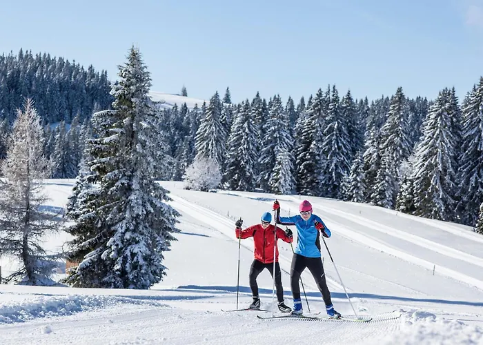 Apartamento Drei Tannen - 07 - Apartmenthaus, Titisee, Feldberg Titisee-Neustadt