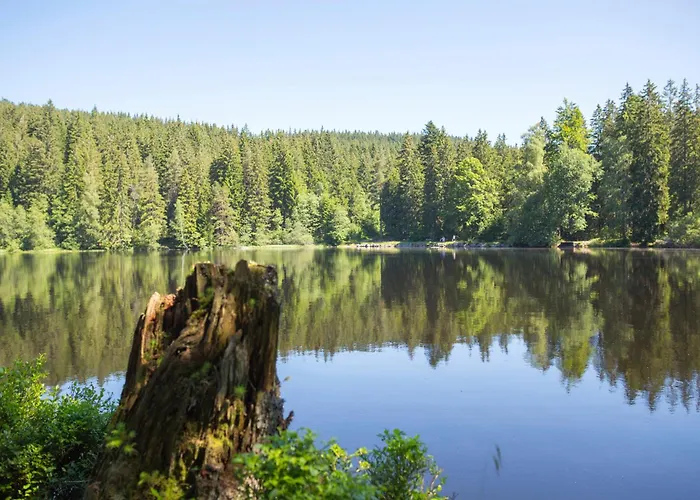 Drei Tannen - 07 - Apartmenthaus, Titisee, Feldberg Titisee-Neustadt