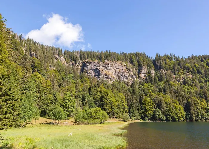 Apartamento Drei Tannen - 07 - Apartmenthaus, Titisee, Feldberg