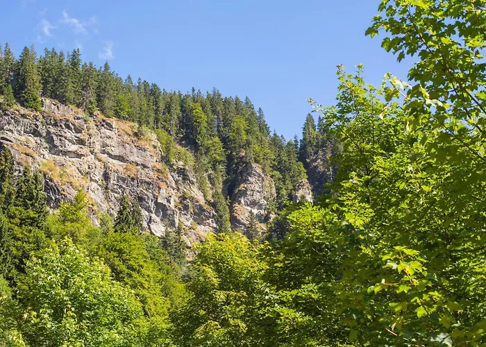 Drei Tannen - 07 - Apartmenthaus, Titisee, Feldberg Titisee-Neustadt