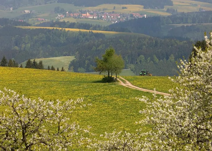 Drei Tannen - 07 - Apartmenthaus, Titisee, Feldberg *