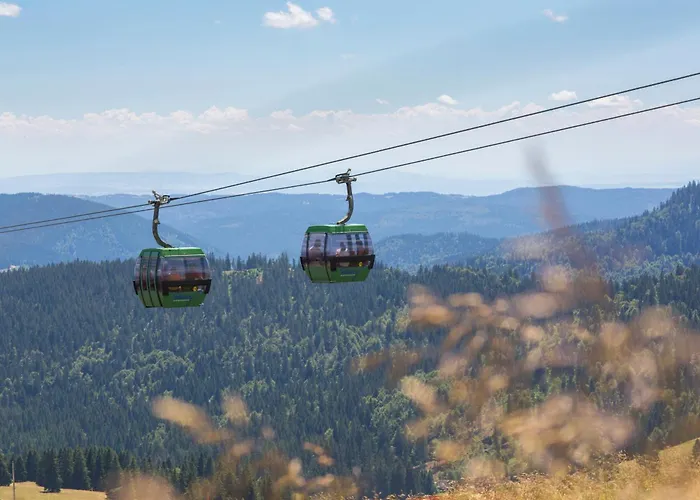 Drei Tannen - 07 - Apartmenthaus, Titisee, Feldberg Apartamento Titisee-Neustadt