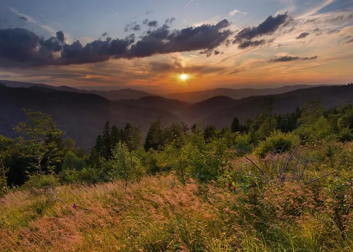 Drei Tannen - 07 - Apartmenthaus, Titisee, Feldberg