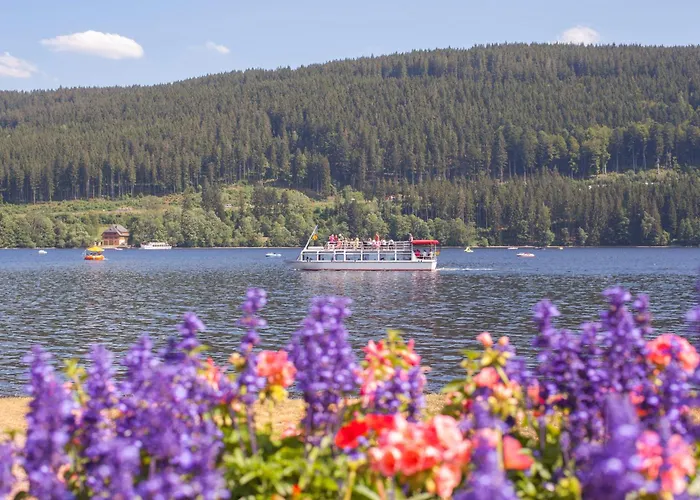 Drei Tannen - 07 - Apartmenthaus, Titisee, Feldberg * Titisee-Neustadt